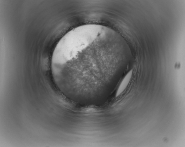 X0000090730224200708171953