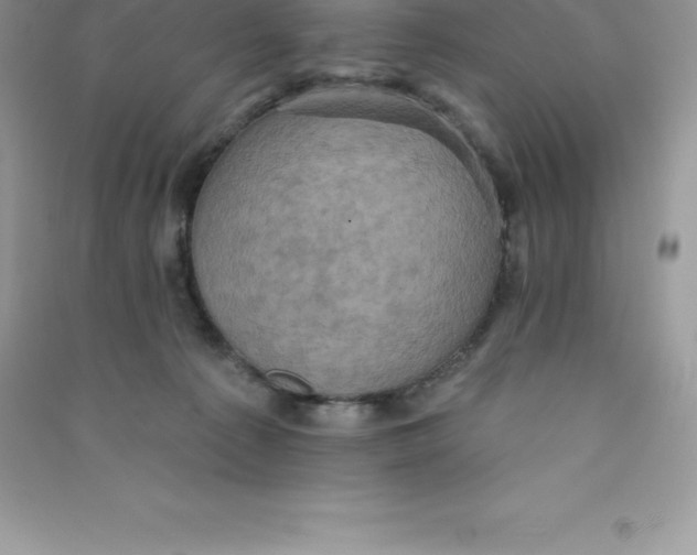 X0000090730225200708171953