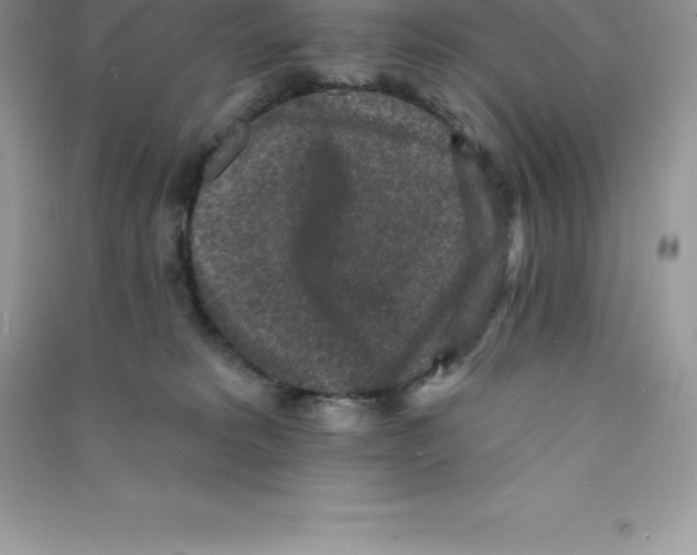 X0000090730229200708171953