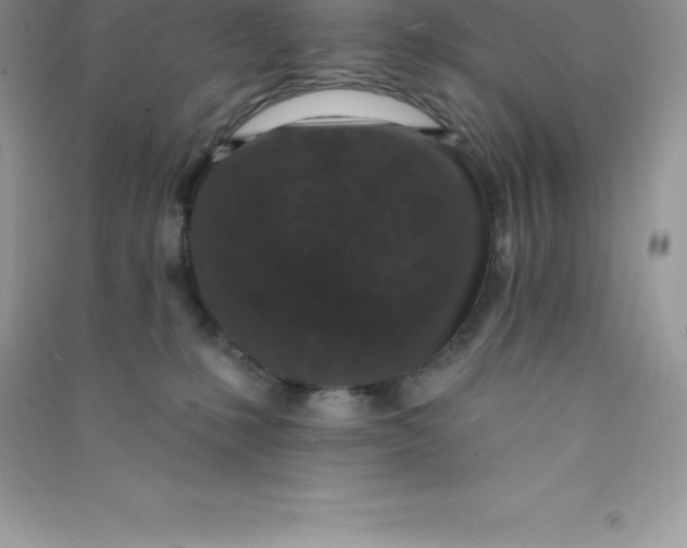 X0000090730231200708171953