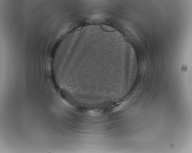 X0000090730232200708171953