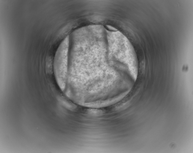 X0000090730234200708171953