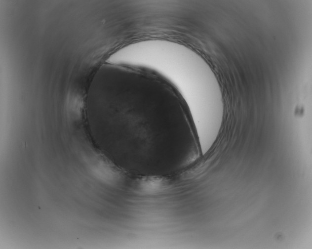 X0000090730235200708171953