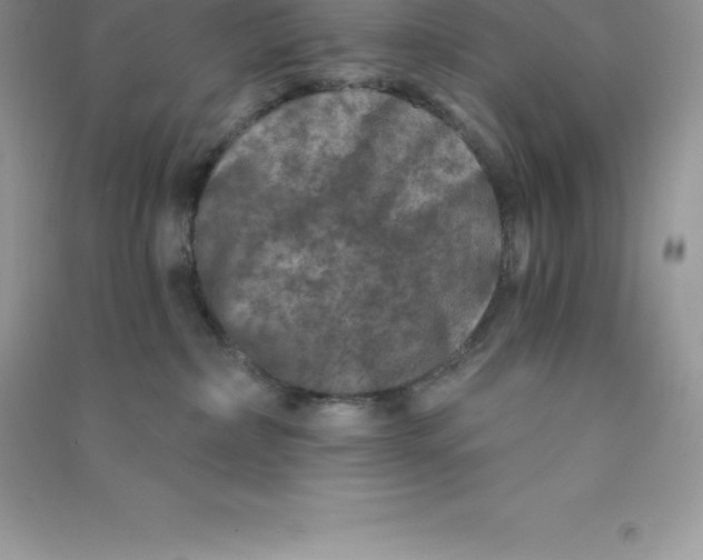 X0000090730236200708171953