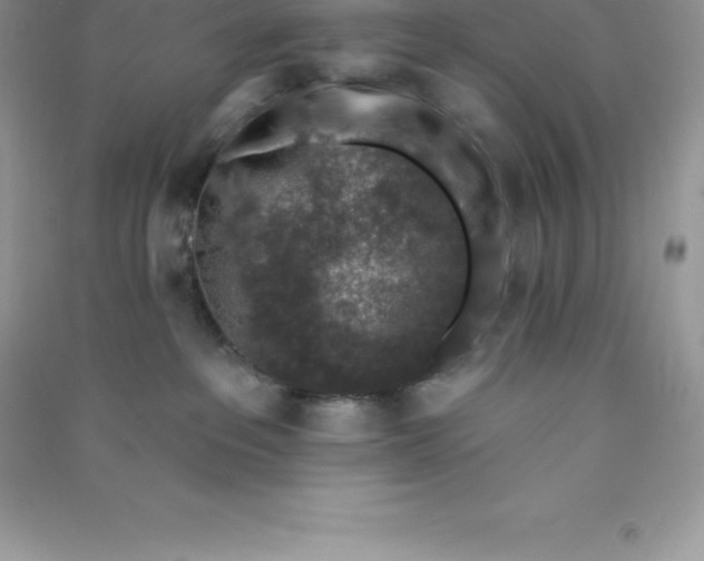 X0000090730237200708171953