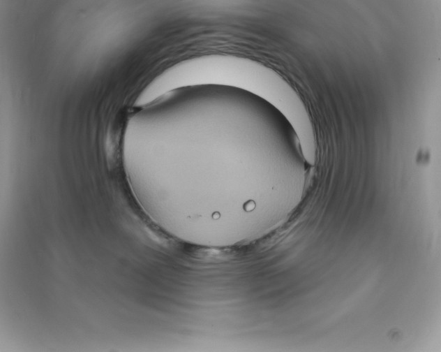 X0000090730239200708171953