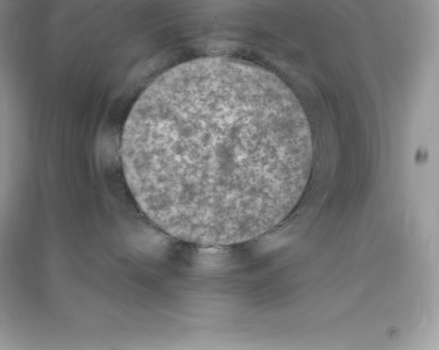 X0000090730240200708171953