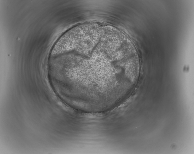 X0000090730241200708171953