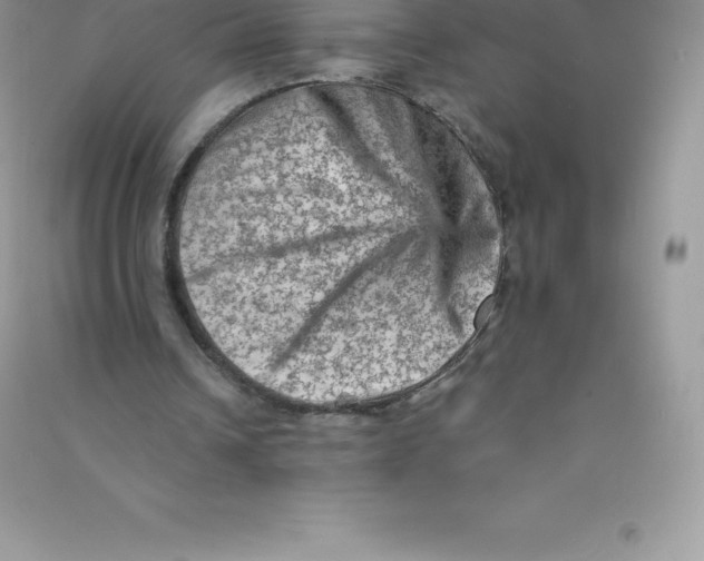 X0000090730242200708171953