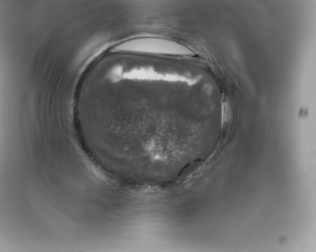 X0000090730243200708171953