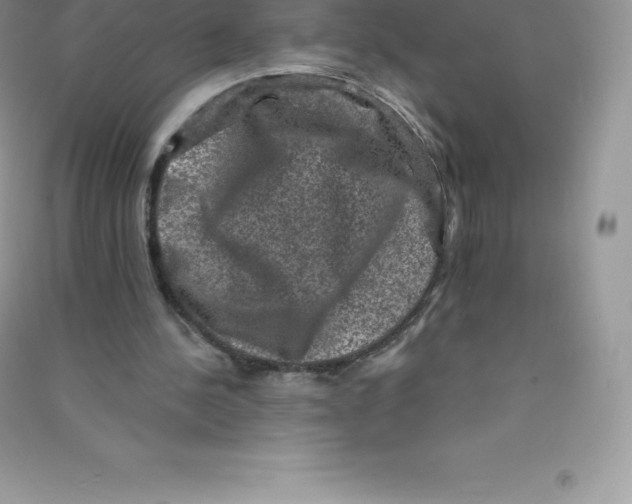 X0000090730244200708171953