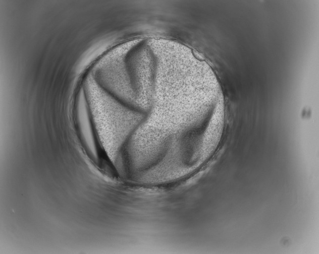 X0000090730245200708171953