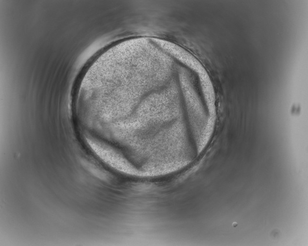 X0000090730246200708171953