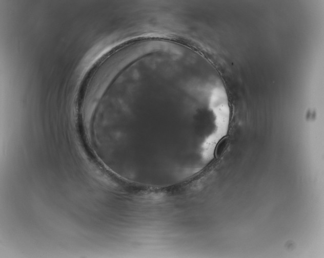 X0000090730247200708171953