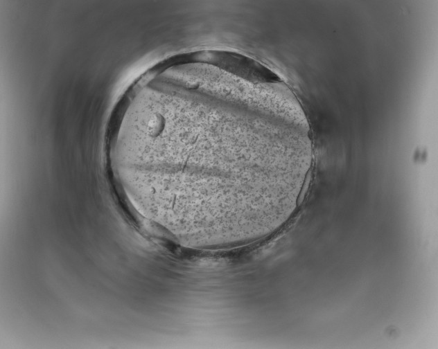 X0000090730248200708171953