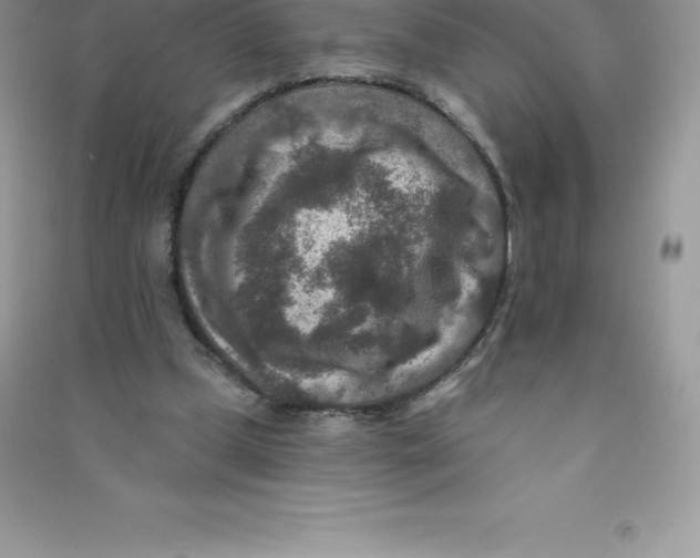 X0000090730249200708171953