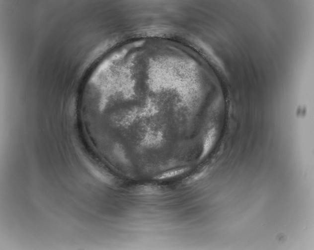 X0000090730250200708171953