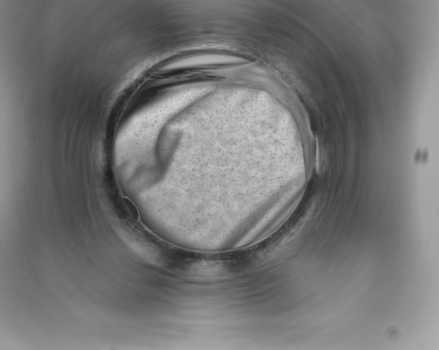 X0000090730252200708171953