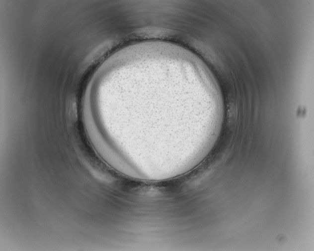 X0000090730254200708171953