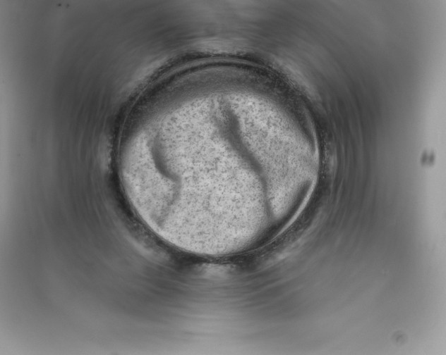 X0000090730255200708171953