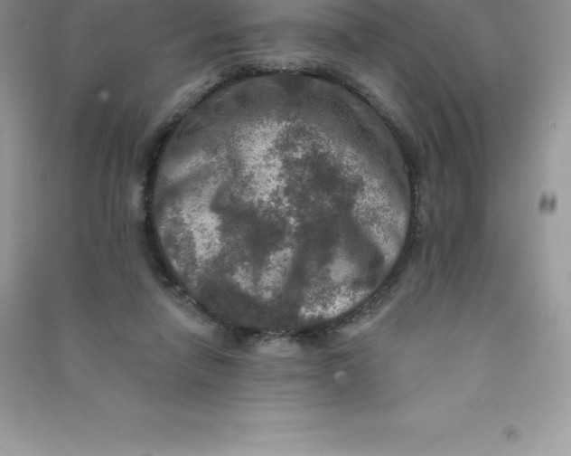 X0000090730258200708171953