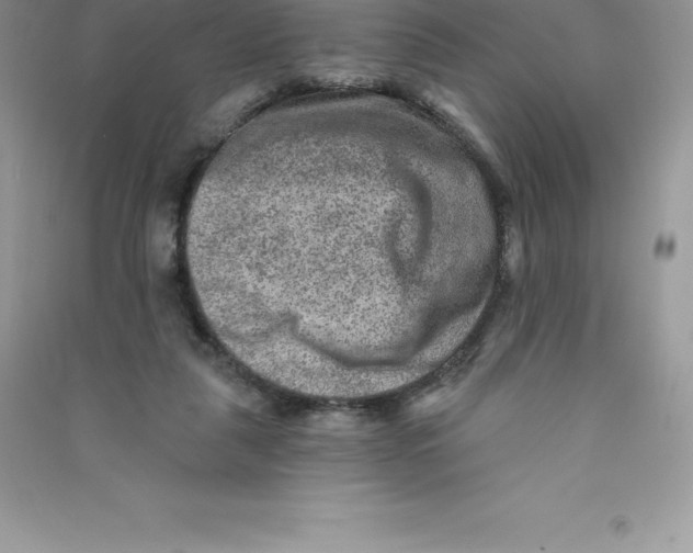 X0000090730259200708171953