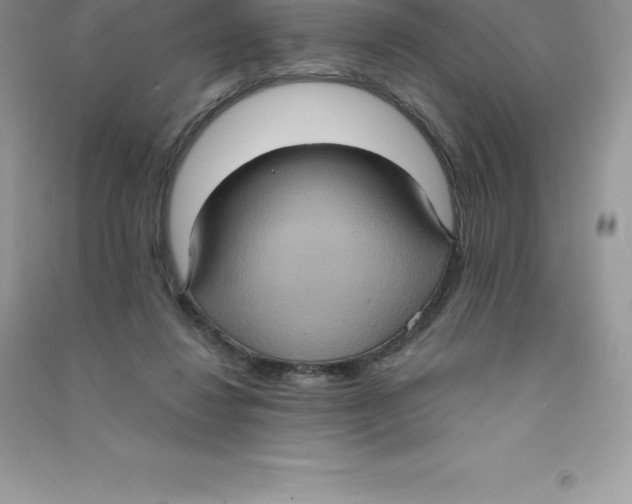 X0000090730260200708171953