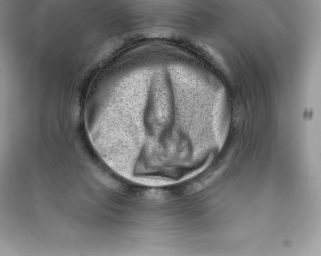 X0000090730261200708171953