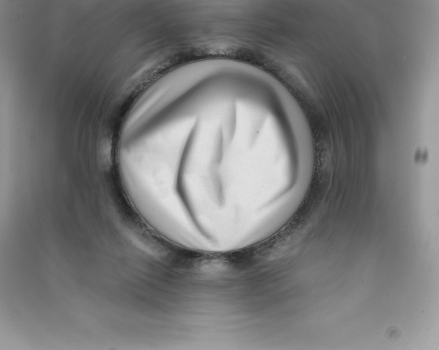 X0000090730262200708171953