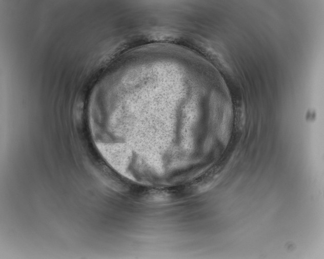 X0000090730263200708171953