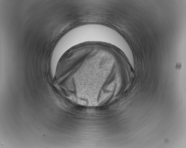 X0000090730264200708171953