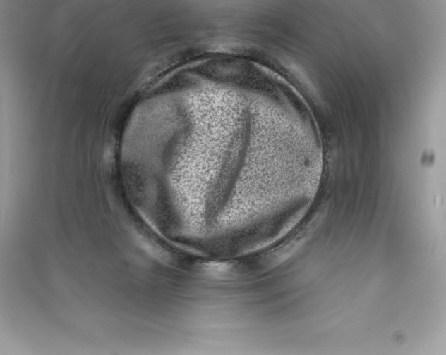 X0000090730265200708171953