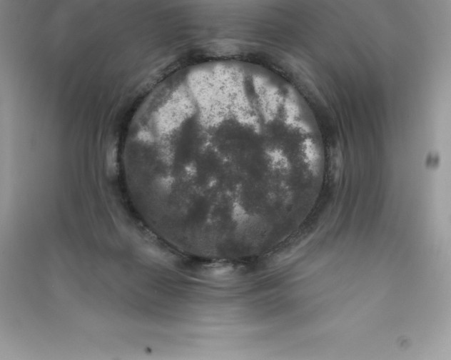 X0000090730267200708171953