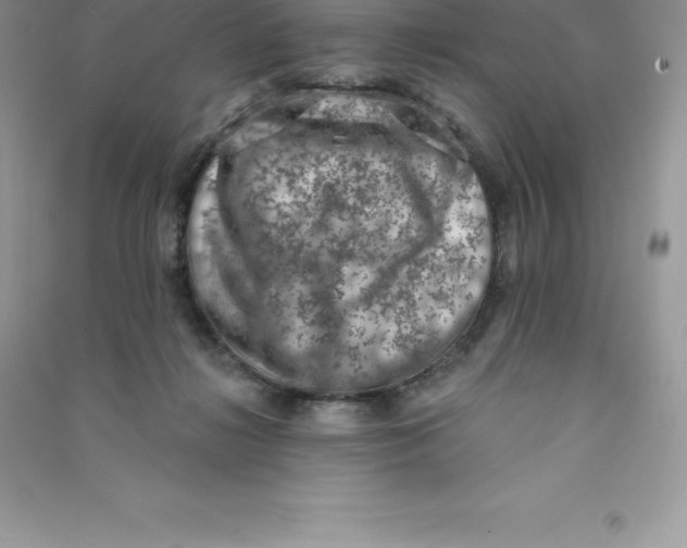 X0000090730268200708171953