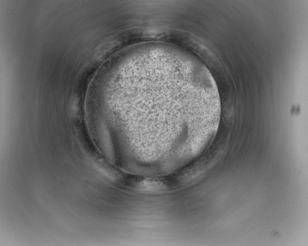 X0000090730270200708171953