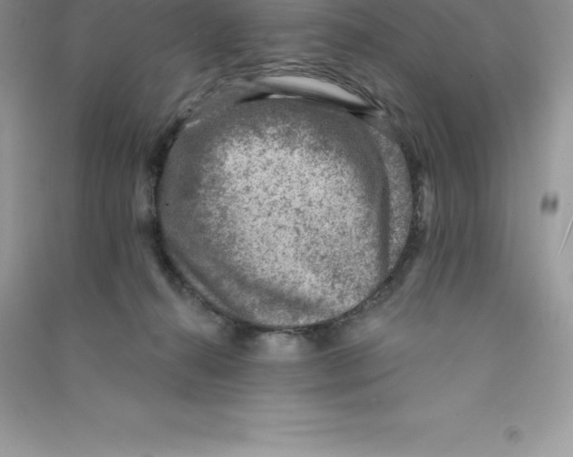 X0000090730272200708171953