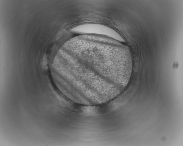 X0000090730273200708171953