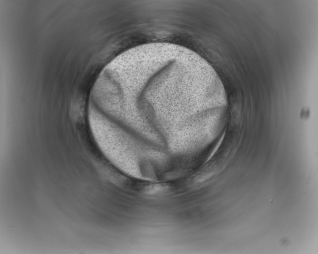 X0000090730274200708171953