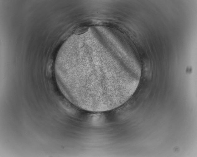 X0000090730275200708171953