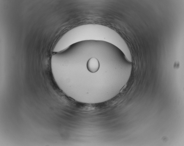 X0000090730276200708171953