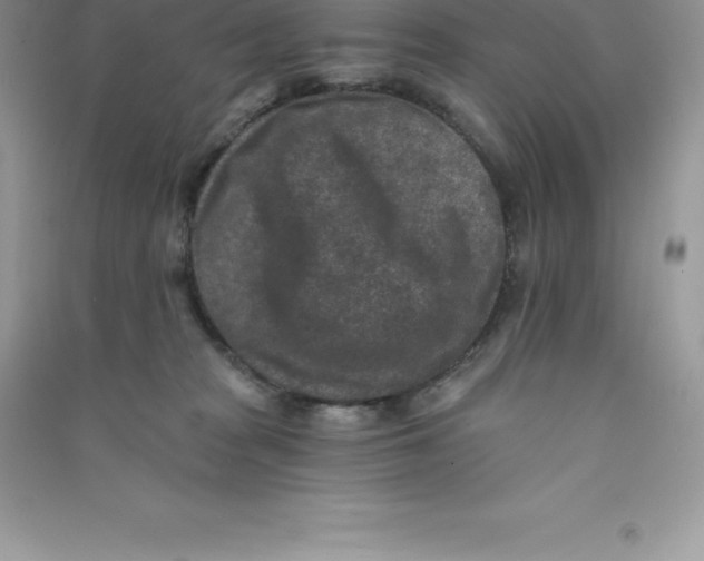 X0000090730277200708171953