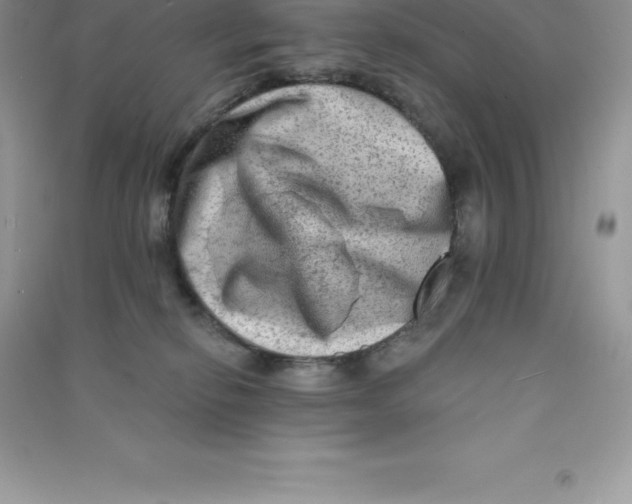 X0000090730278200708171953