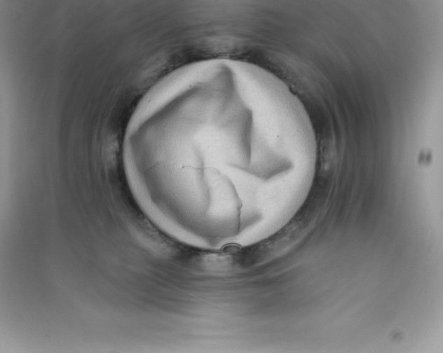 X0000090730279200708171953