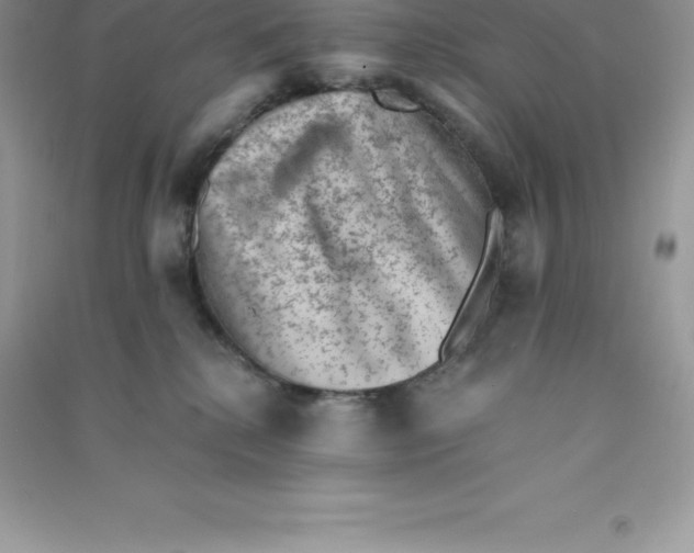 X0000090730280200708171953