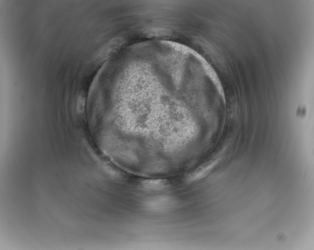 X0000090730281200708171953