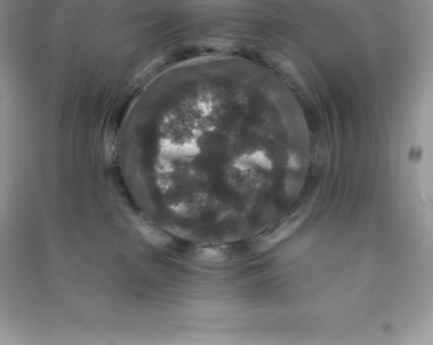 X0000090730285200708171953