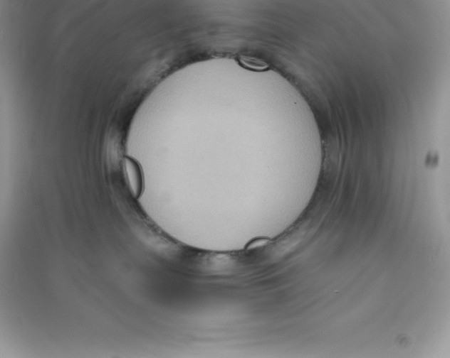 X0000090730287200708171953