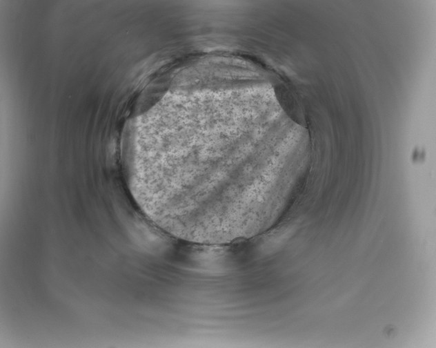 X0000090730288200708171953