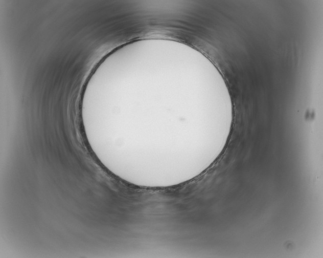 X0000090730289200708171953