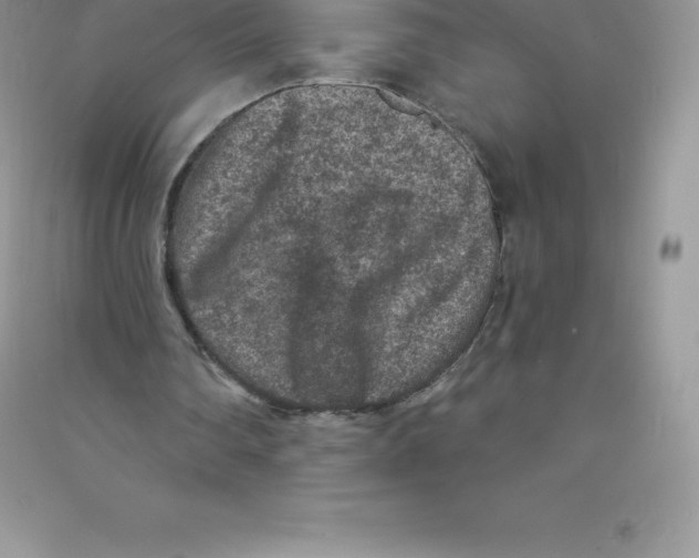 X0000090730290200708171953